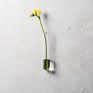 CB2 Beaker Glass Tube Wall Vase Set (5)